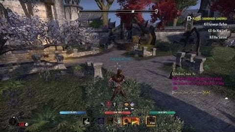 Weapon Swap Changes Chest Style (Eso Bug)