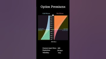 Intro into Understanding Option Greeks: How Time, Asset Price, and Volatility Impact Option Prices