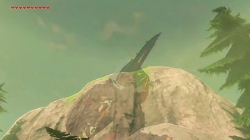 [DAY 343] of finding one korok seed everyday until Botw2 comes out