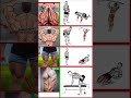 #shortvideo #motivation #shorts #short #song #gym#desihomegym 💪
