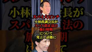 自民党、小林鷹之が、スパイ防止法について語り話題に