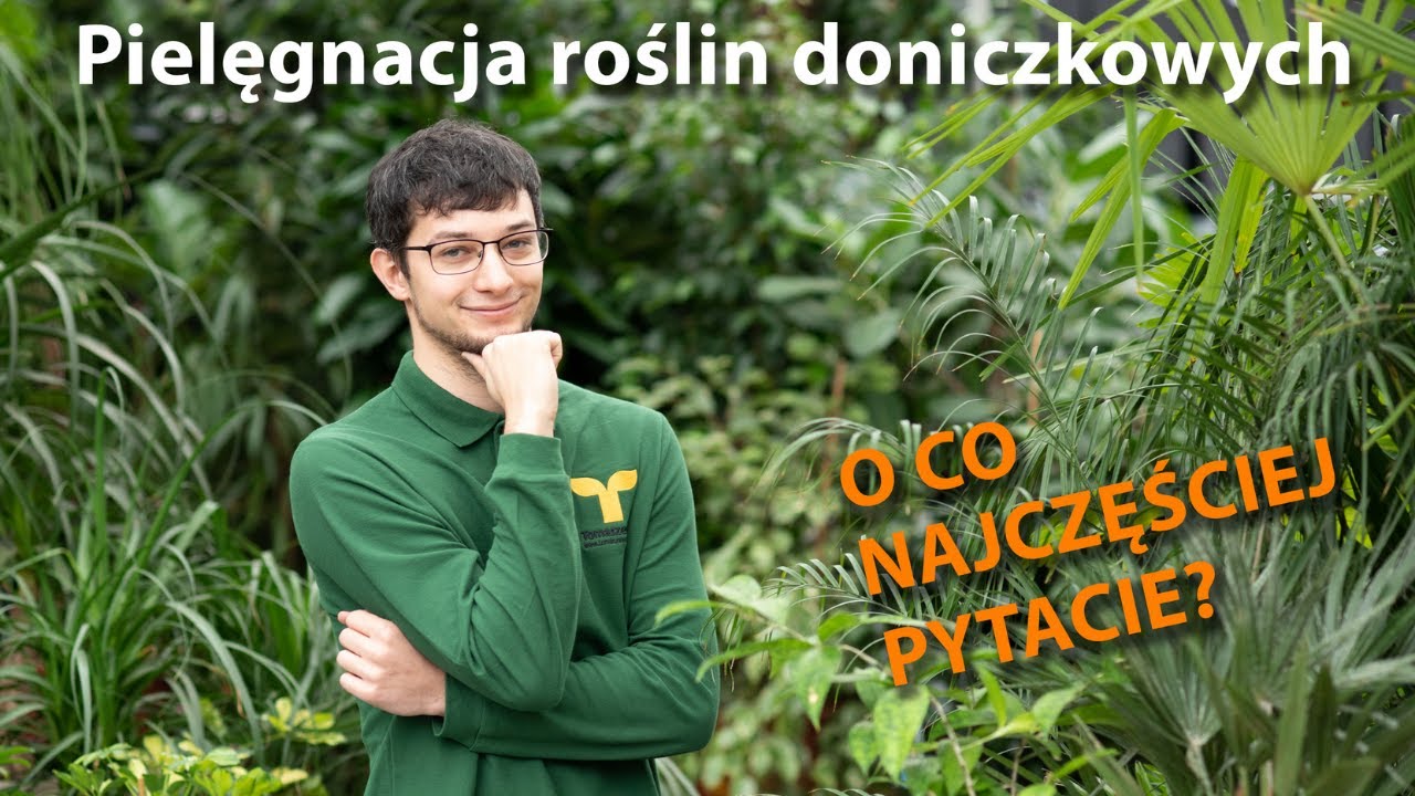 Q&A roślinne!🌿 Najczęściej zadawane pytania dotyczące uprawy i pielęgnacji roślin domowych!🧐