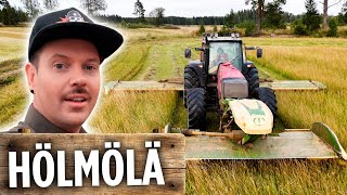 Download Lagu Hölmölän suojavyöhykkeet! Valmetilla heinähommia. MP3 Download Lagu Hölmölän suojavyöhykkeet! Valmetilla heinähommia. MP3