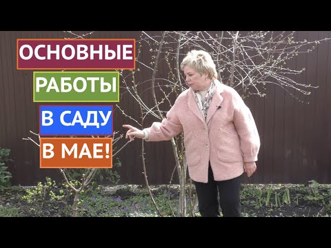 Видео: Список дел по саду – Майские задачи по садоводству на северо-востоке