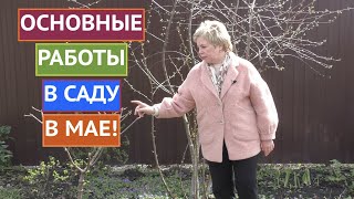 ОСНОВНЫЕ РАБОТЫ В САДУ В МАЕ! НЕ ЗАБУДЬТЕ ПРО ЭТИ МЕРОПРИЯТИЯ!