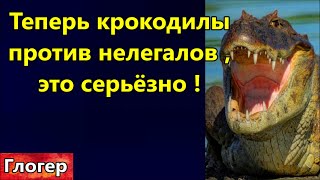 За Крокус Бомбить Ес ! Крокодилы Против Нелегалов ! Маск Втирает Чипы ! Байден Раздаёт Чужие Деньги