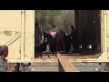EEG - ©Elephant Reintegration Trust Rewilding 2015 Video 18, South Africa, Loading elephants.