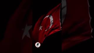 Şükrü Güler Feat. İsmail Türüt Şanlı Bayrak Resimi