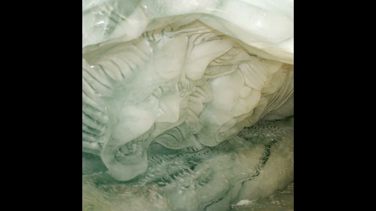 📸✨ Einblicke in die Welt durch die Linse ✨📸(20.5.205)