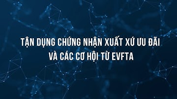 Tận dụng chứng nhận xuất xứ ưu đãi và các cơ hội từ EVFTA