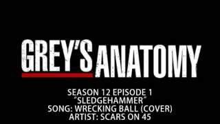 Grey's Anatomy S12E01 - Wrecking Ball (Cover) by Scars On 45