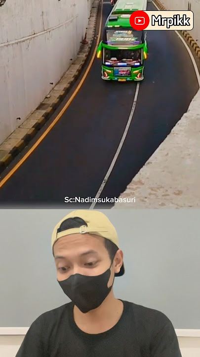 Meet the Celebrity Bus Group🤫 #basuri #busmania