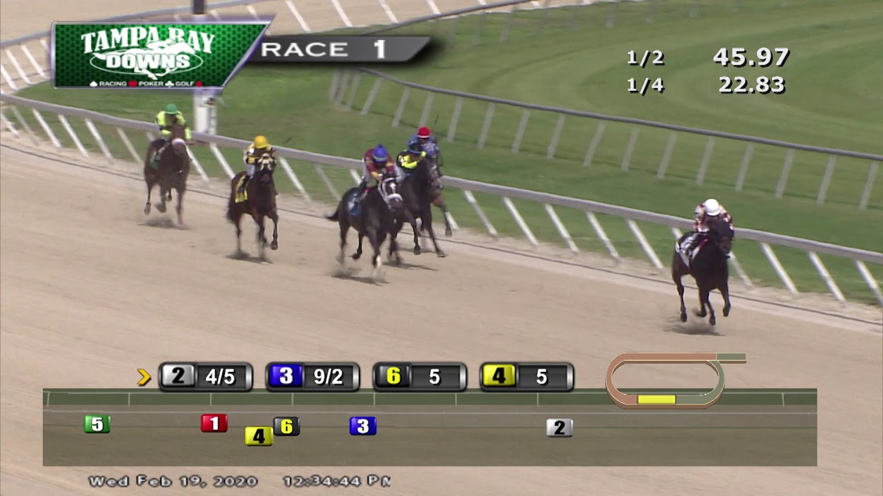 February 19 2020 Race 1 YouTube february-19-2020-race-1-youtube