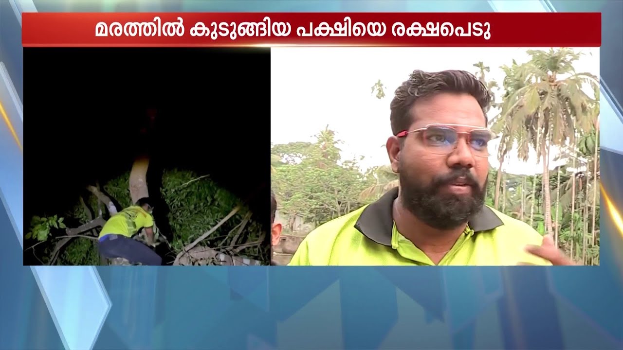 ‘ഷബീർക്കാ ഒന്ന് വേഗം വരണേ...'; കുട്ടികളുടെ ഒറ്റവിളിയിൽ പക്ഷിക്ക് പുതുജീവൻ | Malappuaram | Rescue