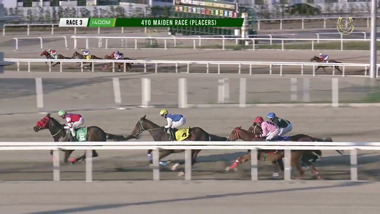 Race 3 4YO MAIDEN RACE PLACERS 1400m FEB 28 2026