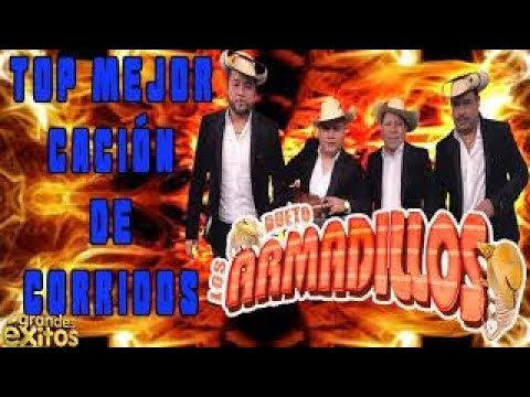 Dueto Los Armadillos De Rigo Flores Corridos Mix - YouTube