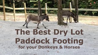 The Best Dry Lot Paddock Footing for your Donkeys & Horses - Let's keep those hooves clean & dry