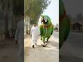 Giant Parrot Walking on South Punjab Canal Road 😱 | Realistic Pakistan Scene #shorts #giantparrot
