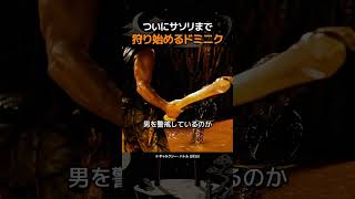 ついにサソリまで狩り始めるドミニク