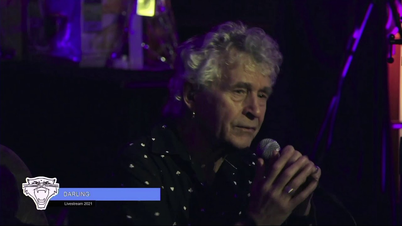 Tribute to the cats band   Darling