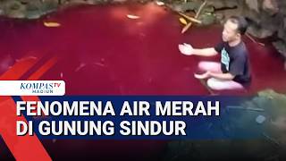Fenomena Air Merah di Gunung Sindur Bogor, Ternyata Begini Faktanya!