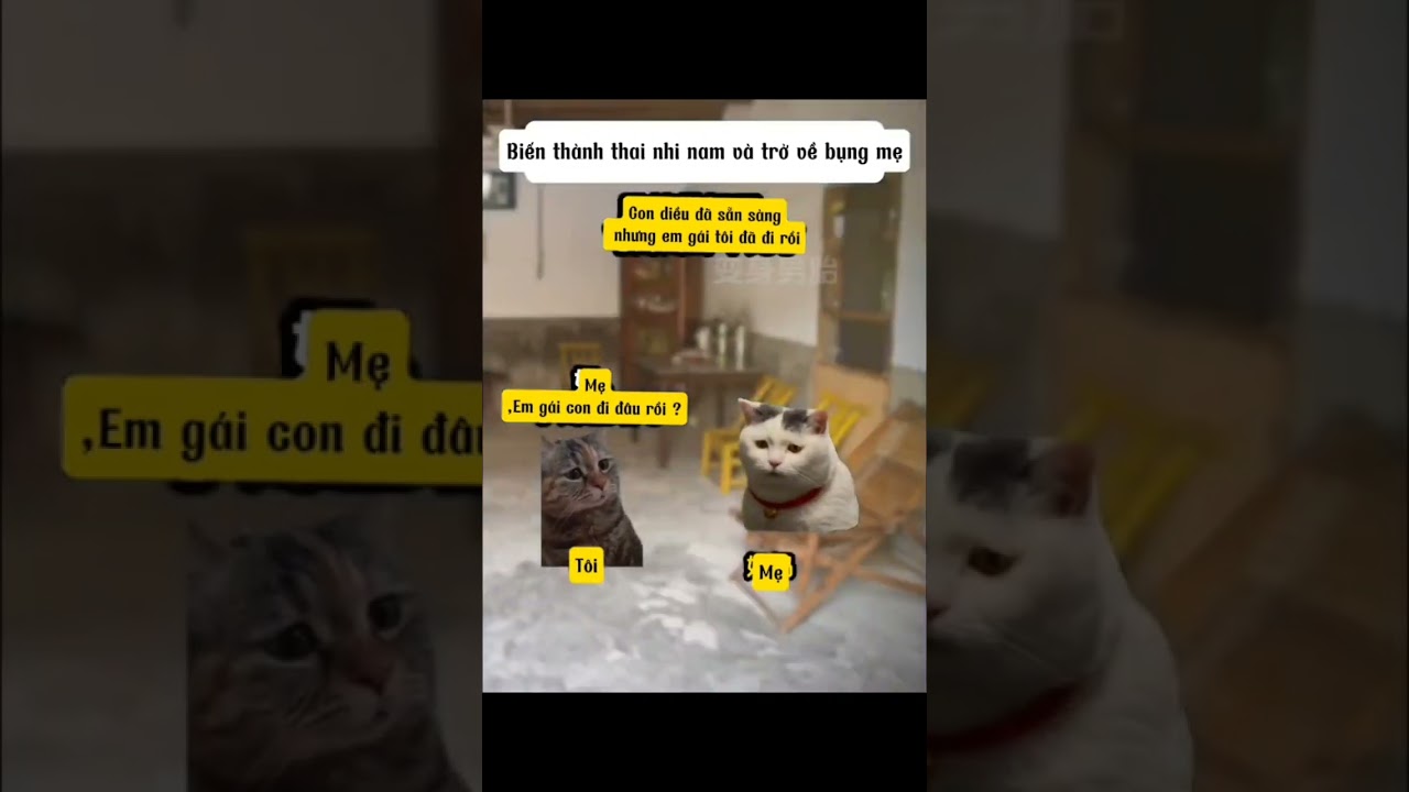 Song sinh quỷ nữ | P1 | Tom Meme 