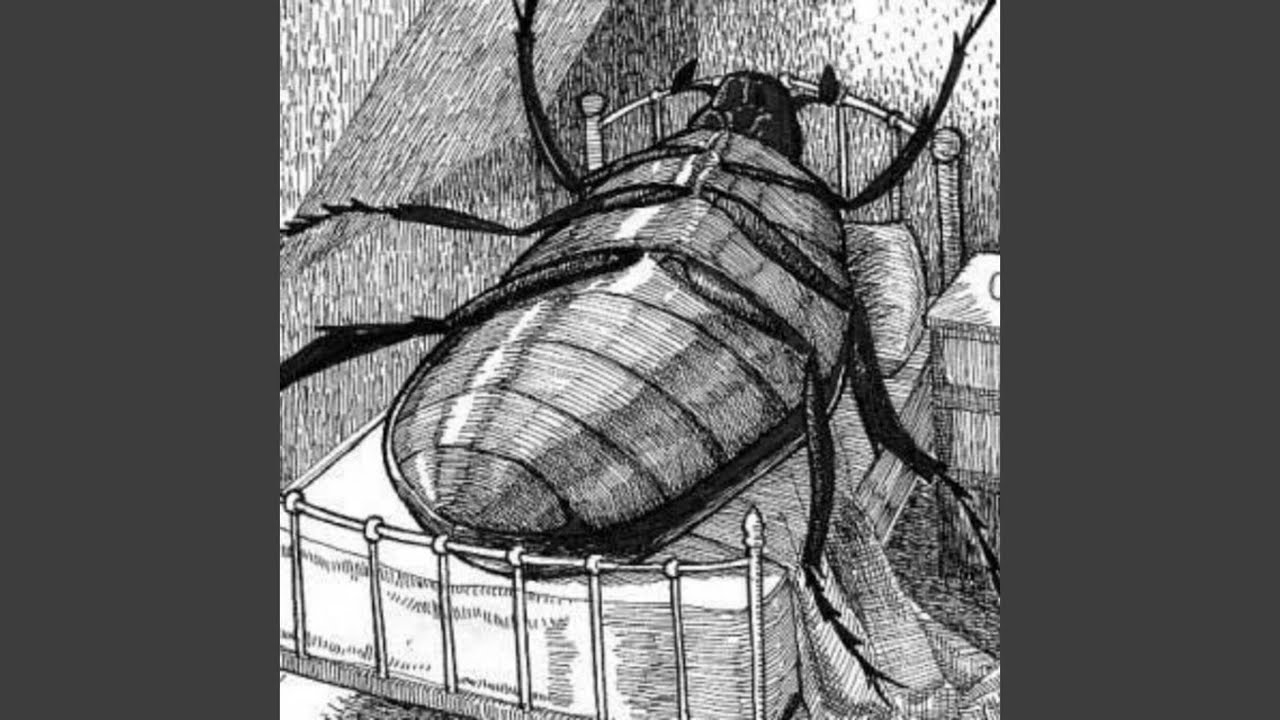 METAMORPHOSIS (Zaidbreak Hard Techno remix)