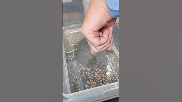 Object Lesson on the Armor of God