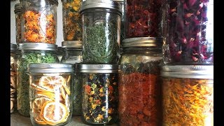 Why I Dehydrate for Food Preservation