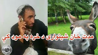 Madat khan Shinwari in Donkey Mode