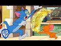 Tom & Jerry | Tom & Jerry Delivers the Golden Ticket | WB Kids