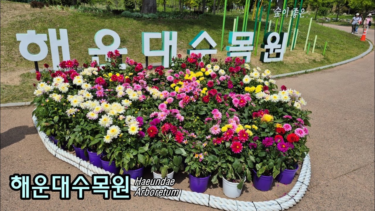 해운대 수목원 / Haeundae arboretum ~!!!