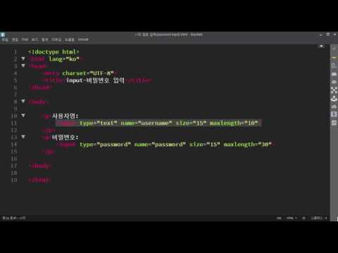 [HTML] input 태그, password 속성 - 암호 입력