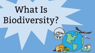 Biodiversity & Intro to Bead Lab