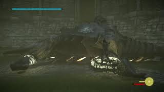 Vdeo Shadow of the Colossus (Remake)