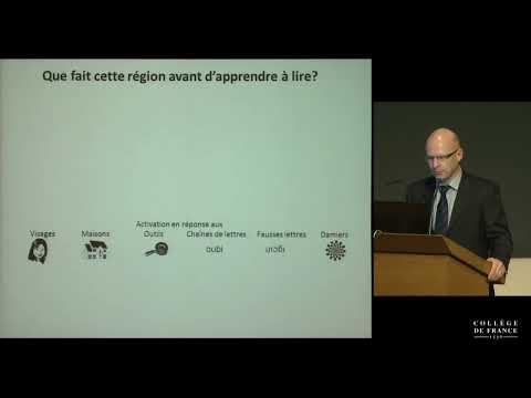 L'apport des sciences cognitives à l'école... ? (4) - Stanislas Dehaene (2014-2015)