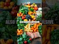 Creative Meal Planning for Weight Loss Success