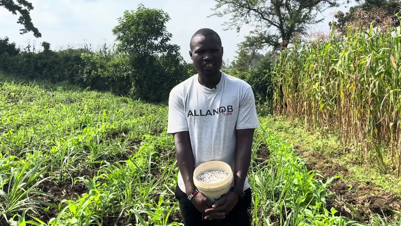 A FARMER IS A BUSINESS PERSON 