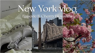 🚖New York vlog | Soho, KITH, On Running, cherry blossom, Roosevelt Island, best food, cafe hopping