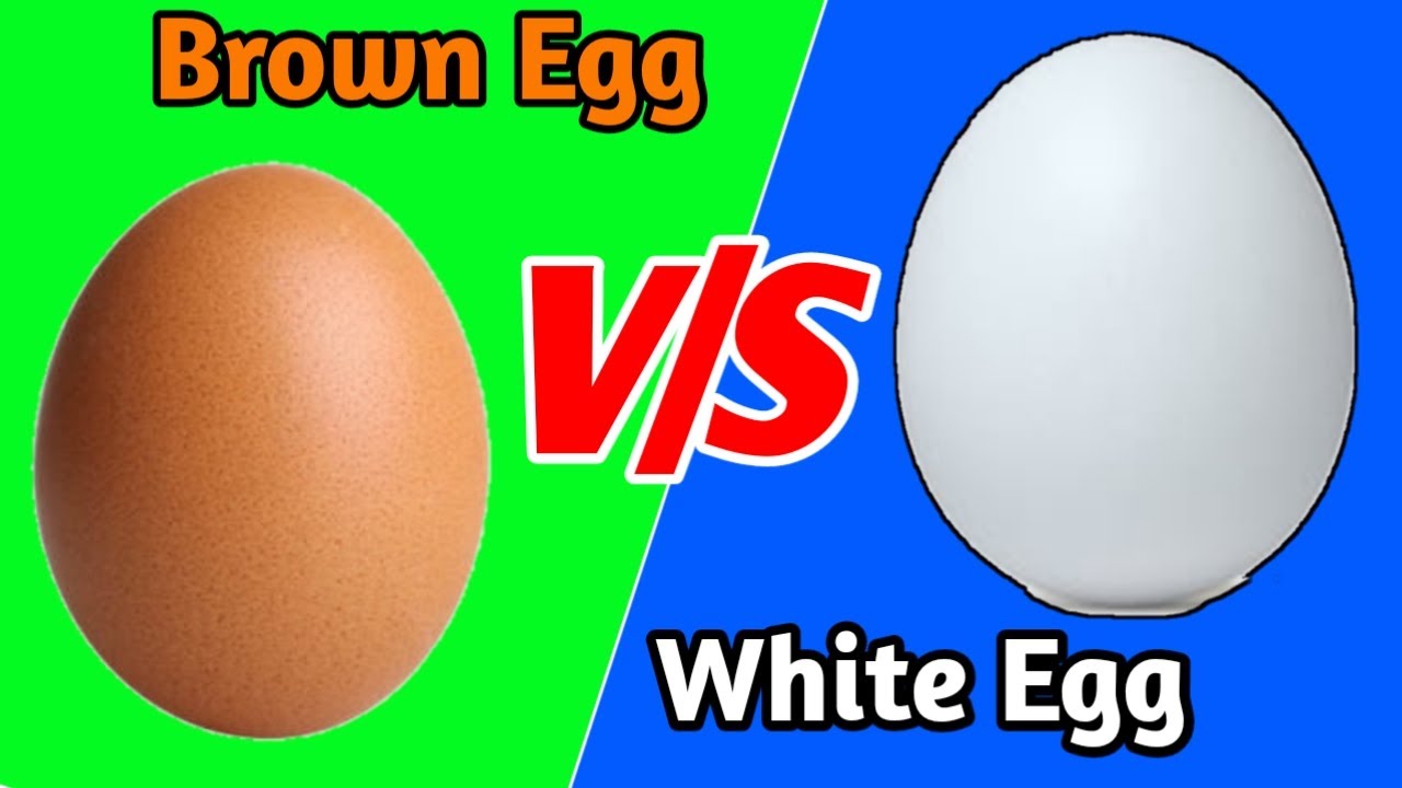 देसी अंडे और फार्मी अंडे में क्या अंतर है Desi egg vs Farmi egg