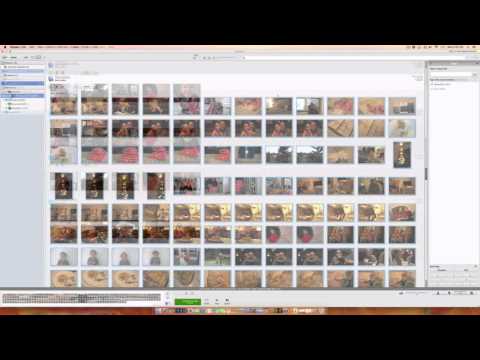 Tutorial: How to Get Your Photos Out of Picasa