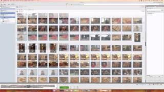 Tutorial: How to Get Your Photos Out of Picasa screenshot 5