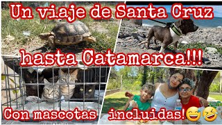 RUTAS ARGENTINA/ Un viaje de Santa Cruz hasta Catamarca ,acompañados de nuestra mascotas!!
