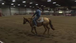 210410 Non Pro Tim Abbott on Dun It In Freckles