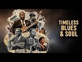 Best 100 Classic Soul & Blues | Vintage Love Ballads – Healing | Style The Animal, Jimi Hendrix