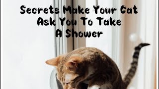 Secrets That Make Your Cat Ask You To Take A Shower