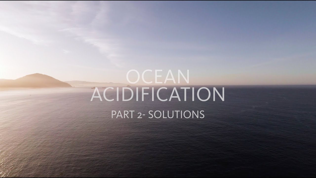 Ocean Acidification - Part 2, Solutions