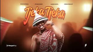 Ntate Stunna – Tjeka Tjeka (feat. Nthabi Sings , Dankie Zbiya & OkShapMaLuv) 