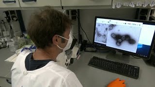 Newsom declares state of emergency in CA for monkeypox, plans to amp up response