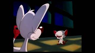 Pinky And The Brain - Best Plan